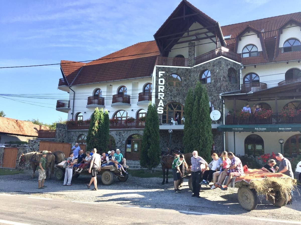 Гостевой дом Pensiunea Forrás Panzió Корунд-29